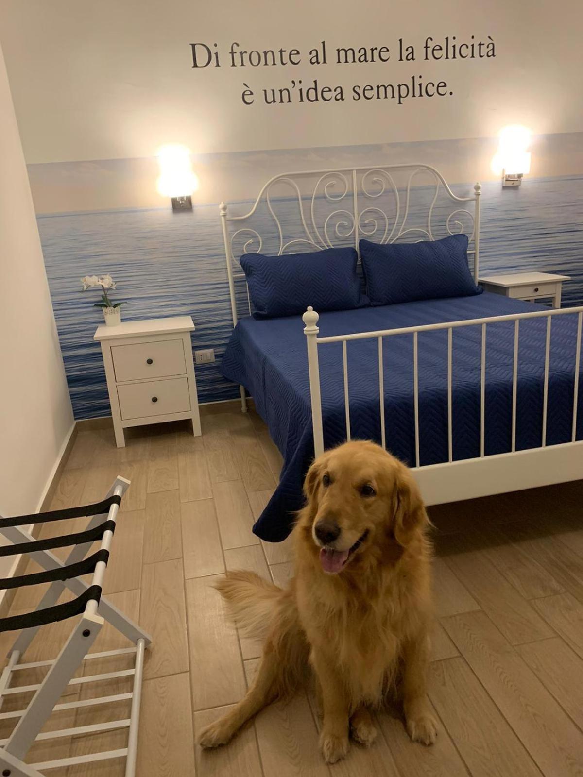 Mareluna Rooms Margherita Di Savoia Ngoại thất bức ảnh